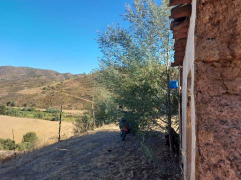 Quinta Rural em Monchique ! Excelente investimento para turismo rural!