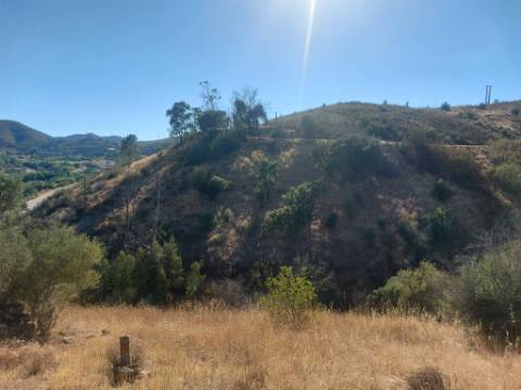 Quinta Rural em Monchique ! Excelente investimento para turismo rural!