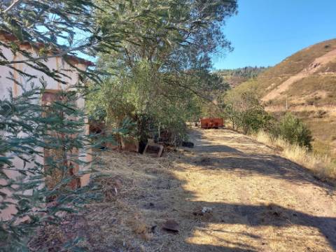 Quinta Rural em Monchique ! Excelente investimento para turismo rural!