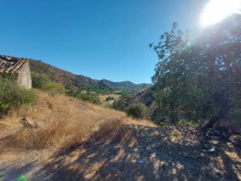 Quinta Rural em Monchique ! Excelente investimento para turismo rural!