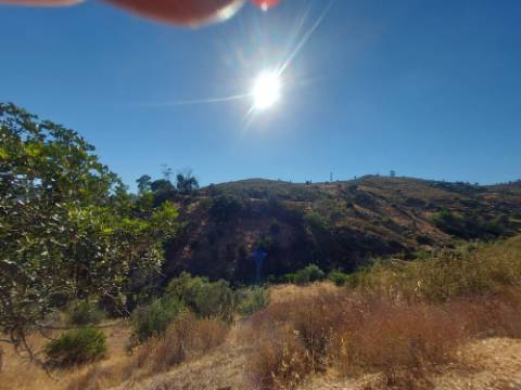 Quinta Rural em Monchique ! Excelente investimento para turismo rural!