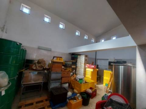 Quinta Rural em Monchique ! Excelente investimento para turismo rural!