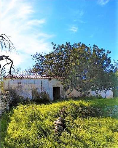 Quintinha com ruína em Paderne