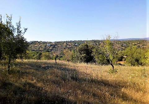 Quintinha com ruína em Paderne