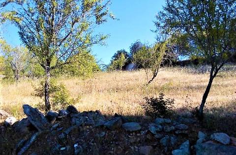 Quintinha com ruína em Paderne