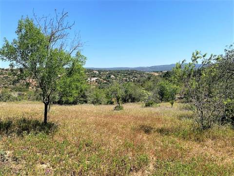 Quintinha com ruína em Paderne