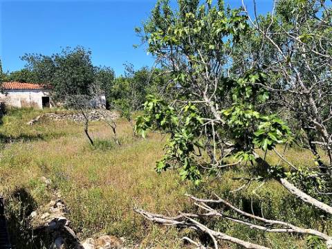Quintinha com ruína em Paderne