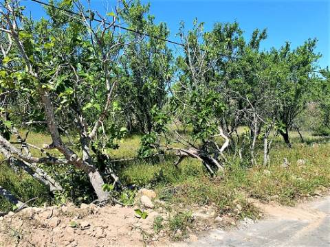 Quintinha com ruína em Paderne