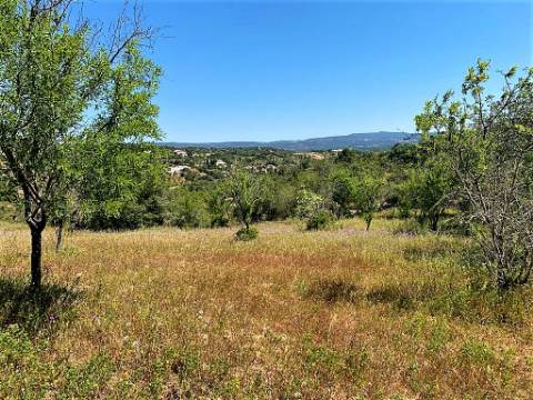 Quintinha com ruína em Paderne