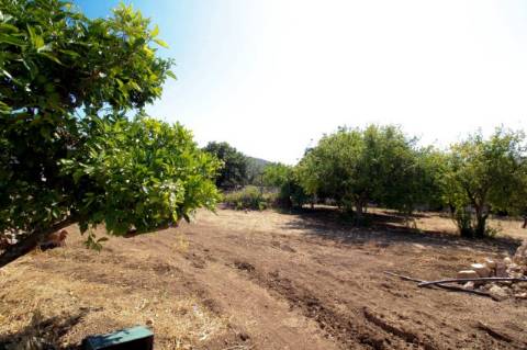 Lote com projeto aprovado
