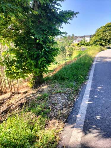 Terreno Urbano com vistas deslumbrantes- Salgueiral, Luso