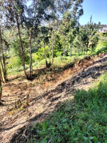 Terreno Urbano com vistas deslumbrantes- Salgueiral, Luso