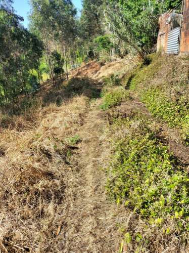 Terreno Urbano com vistas deslumbrantes- Salgueiral, Luso