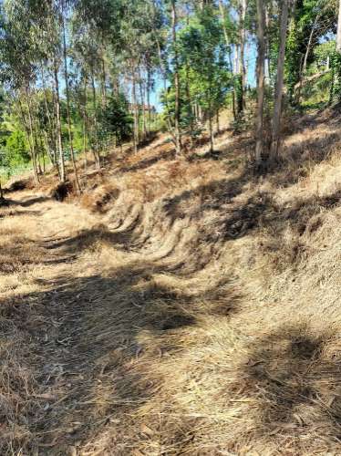 Terreno Urbano com vistas deslumbrantes- Salgueiral, Luso