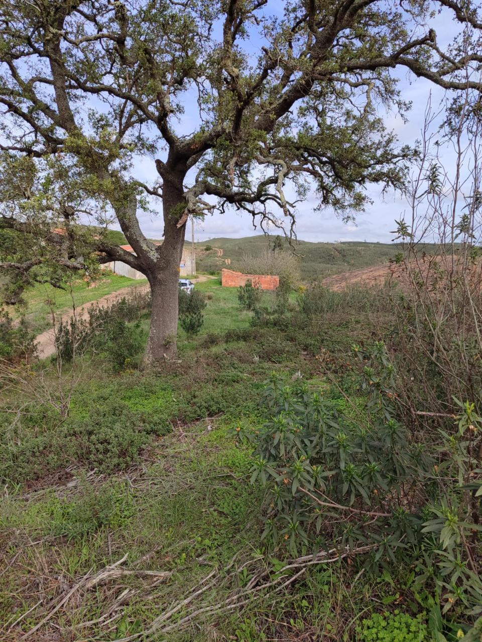 Monte com Ruínas e Potencial Turístico | São Marcos da Serra