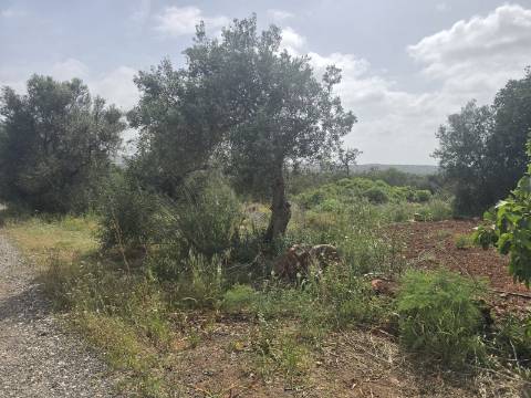 Terreno com Vista Campo e Infraestruturas a 15 minutos de Albufeira