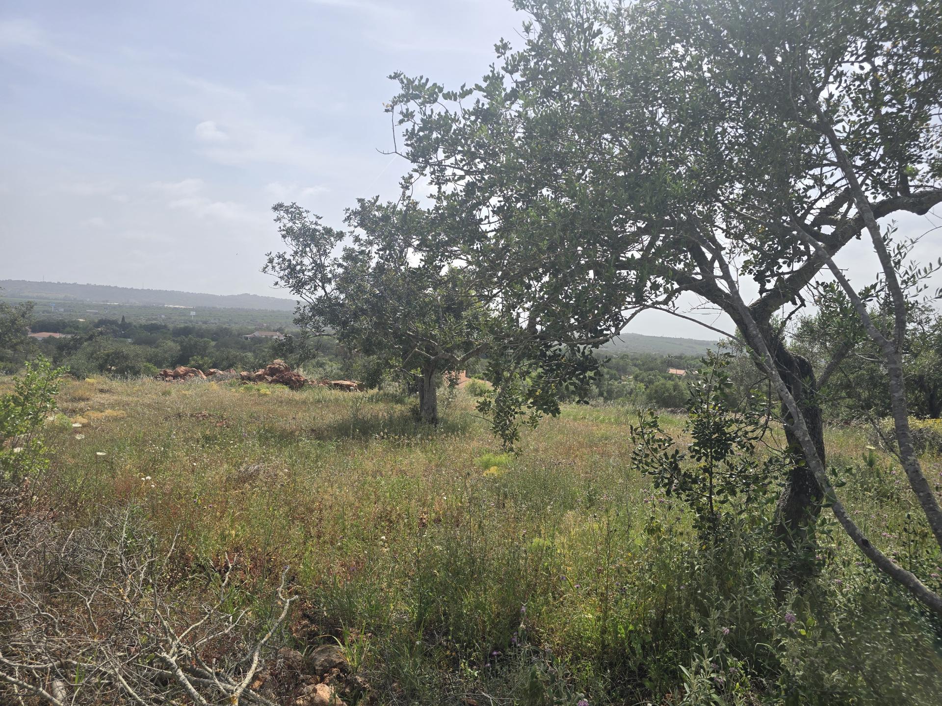 Terreno com Vista Campo e Infraestruturas a 15 minutos de Albufeira