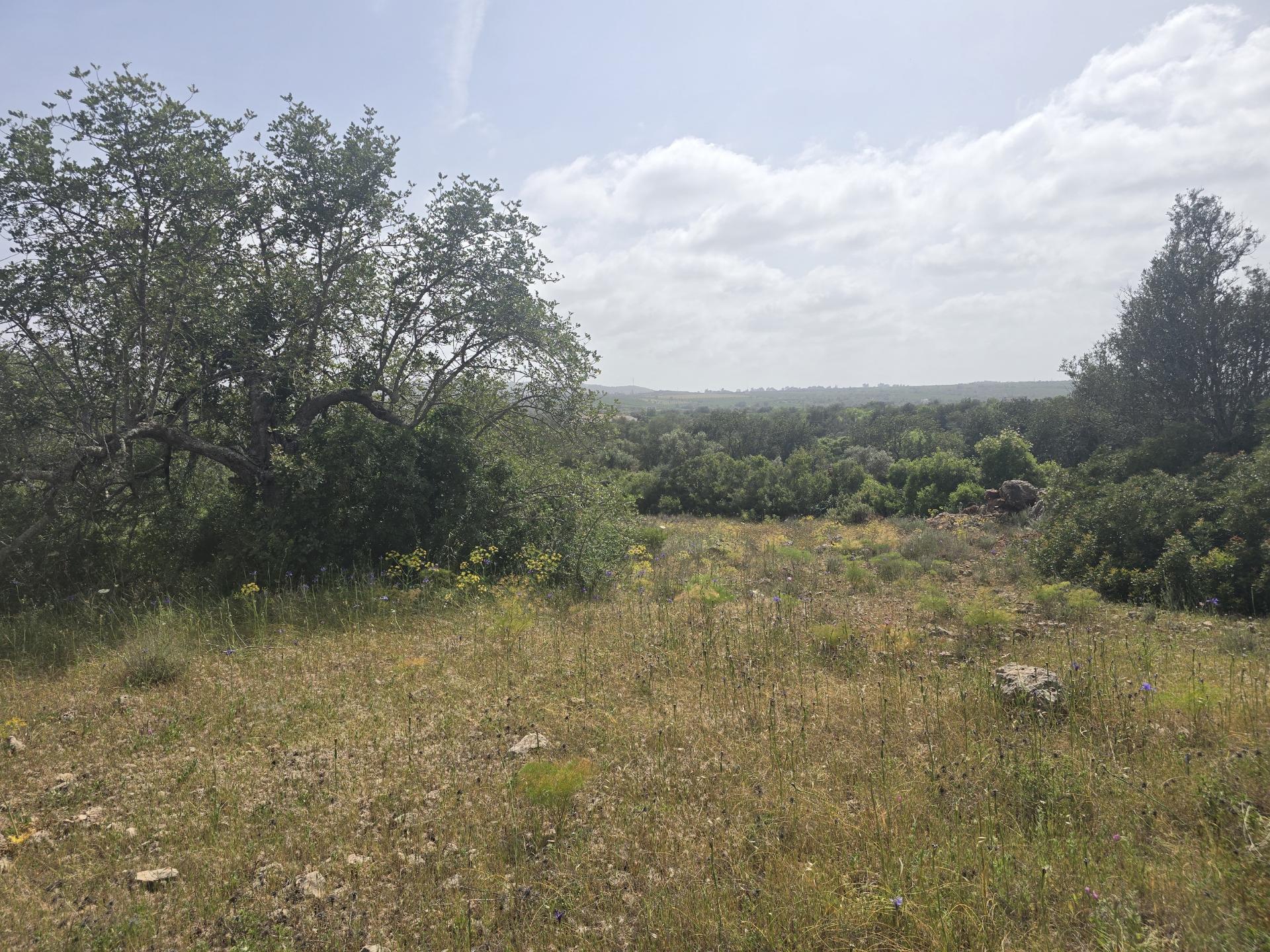 Terreno com Vista Campo e Infraestruturas a 15 minutos de Albufeira