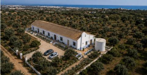 Quinta do Cotovio Cotovio / Ferreiras / Albufeira