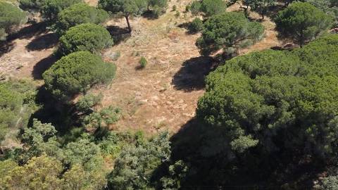 2,40Ha Melides | C/ Ruina