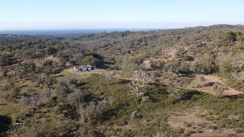 9,25Ha Melides | Com Ruina