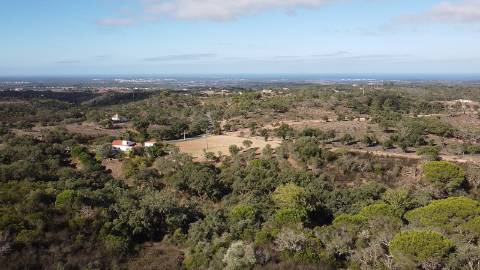 2,775Ha SFS | Com Casa