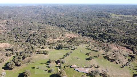 6,64Ha Melides | Com Casa