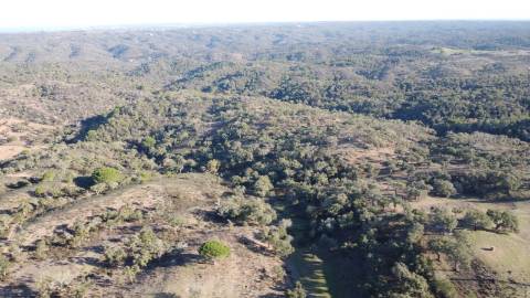 6,64Ha Melides | Com Casa