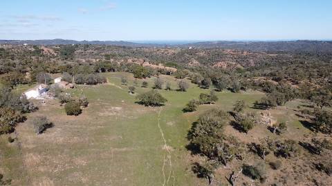 6,64Ha Melides | Com Casa