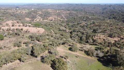 6,64Ha Melides | Com Casa