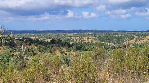 25,10Ha São Bartolomeu da Serra