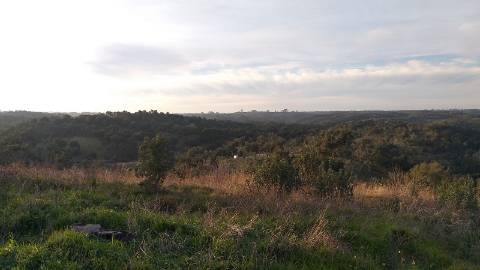 41,00Ha SBS | C/ Casa