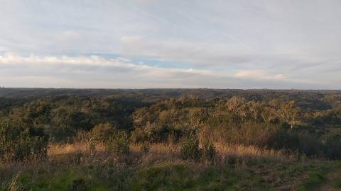 41,00Ha SBS | C/ Casa