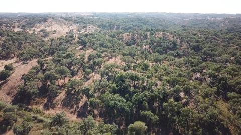 41,00Ha SBS | C/ Casa