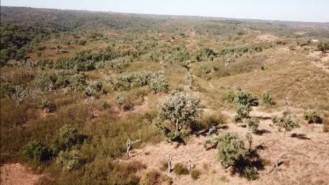 41,00Ha SBS | C/ Casa