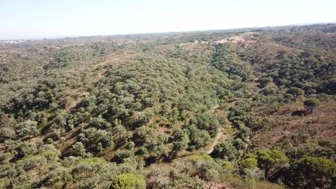 41,00Ha SBS | C/ Casa