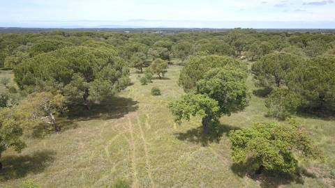 7,30Ha Melides C/ Projecto