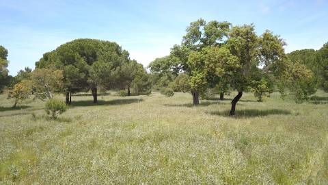 7,30Ha Melides C/ Projecto