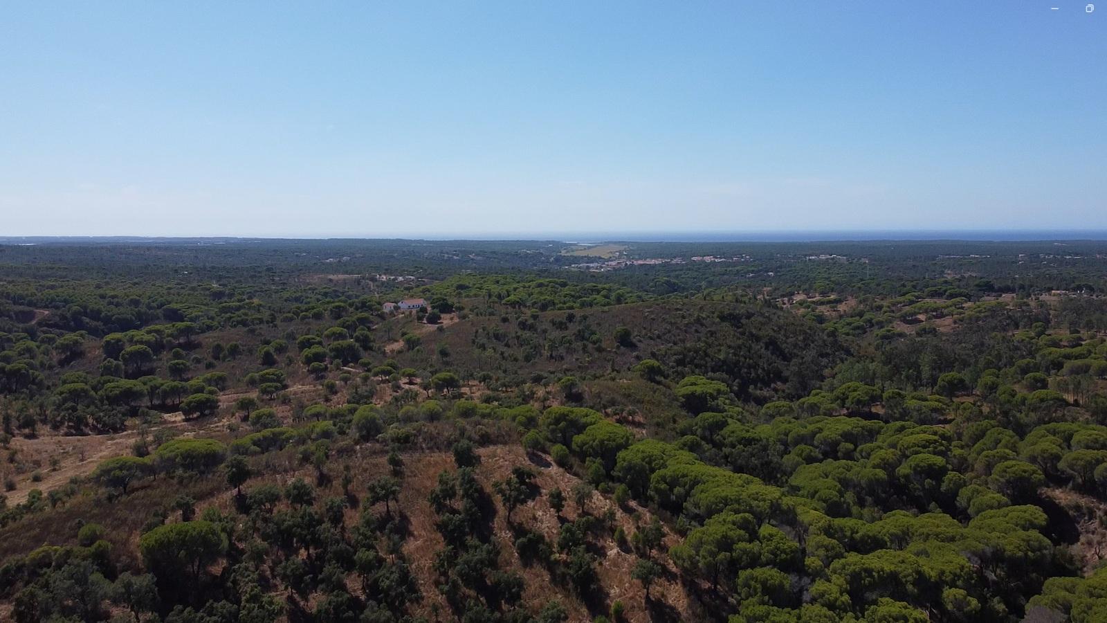 44,00 Ha Melides | Boavista