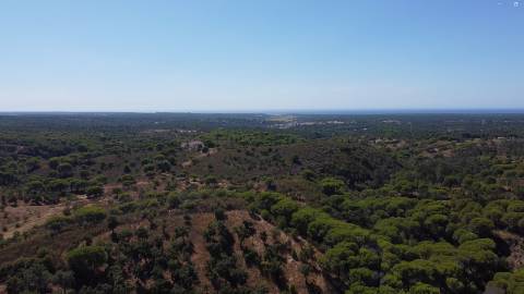 44,00 Ha Melides | Boavista