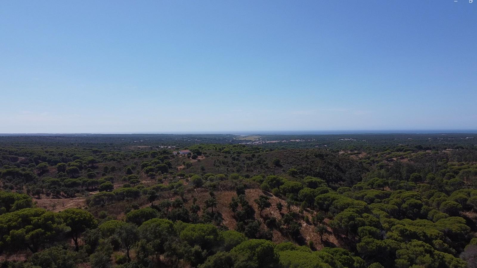 44,00 Ha Melides | Boavista