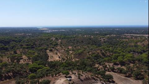 44,00 Ha Melides | Boavista