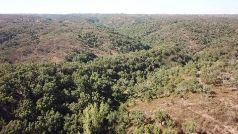 51Ha com Casa