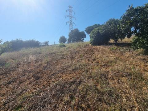 Moradia T4 isolada inserida em terreno com 5000m2 - Camarral (Palmela)