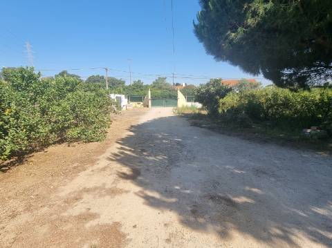 Moradia T4 isolada inserida em terreno com 5000m2 - Camarral (Palmela)