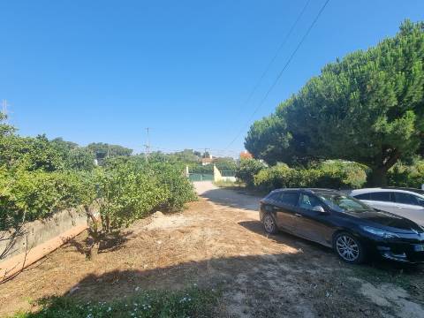 Moradia T4 isolada inserida em terreno com 5000m2 - Camarral (Palmela)