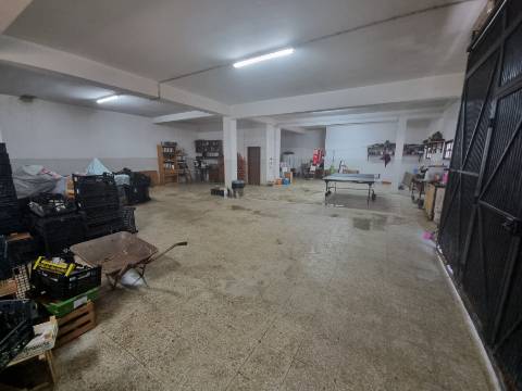 Moradia T4 isolada inserida em terreno com 5000m2 - Camarral (Palmela)