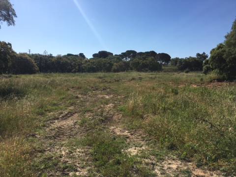 Terreno para construção/rústico - Alto da Guerra(Setúbal)