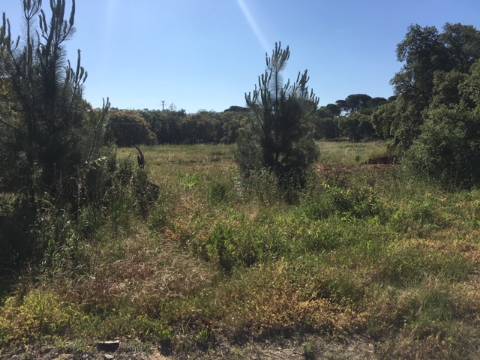 Terreno para construção/rústico - Alto da Guerra(Setúbal)