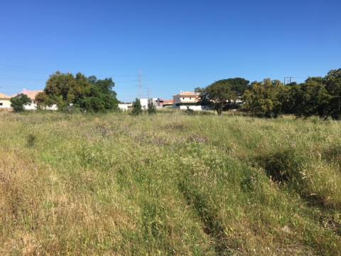 Terreno para construção/rústico - Alto da Guerra(Setúbal)